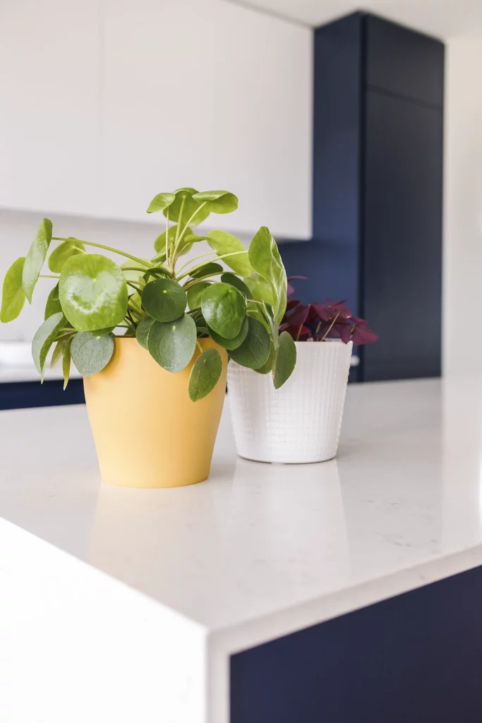 Anissa-Cuisine-No_Limit-Creation_bois-04 Anissa Cuisine No Limit Création bois